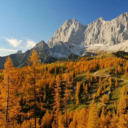 Apartamento Naturchalet Hoeflehner - Heimgefuehl & Ruhelage An Loipe & Wanderweg *