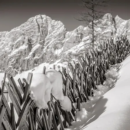 Naturchalet Hoeflehner - Heimgefuehl & Ruhelage An Loipe & Wanderweg Apartamento