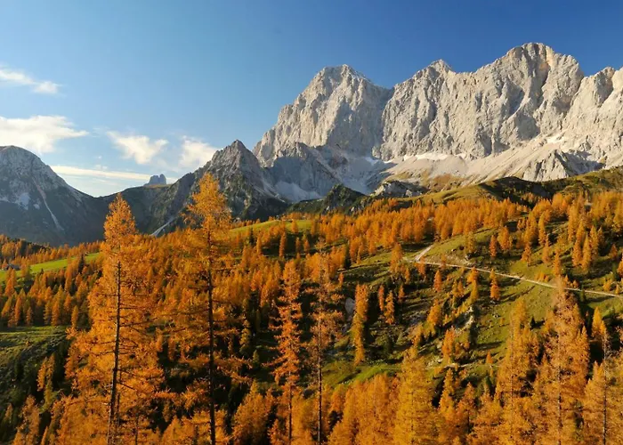 Apartment Naturchalet Hoeflehner - Heimgefuehl & Ruhelage An Loipe & Wanderweg *