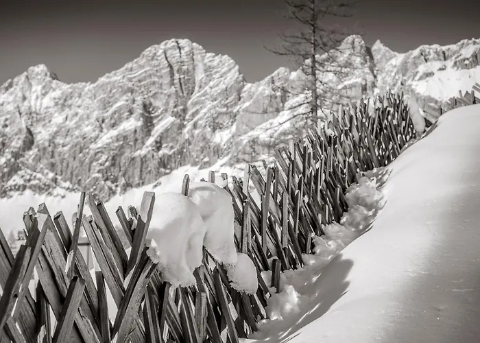 Naturchalet Hoeflehner - Heimgefuehl & Ruhelage An Loipe & Wanderweg Apartment