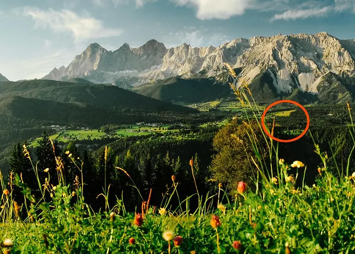 Naturchalet Hoeflehner - Heimgefuehl & Ruhelage An Loipe & Wanderweg Apartman *